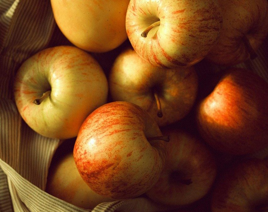 Memahami Proses Penerbitan BPJS di Kabupaten Pesawaran